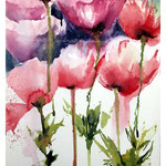 Poppies VI 2017 (O1) / Watercolour 20x33cm on Fabriano CP © janinaB. 2017
