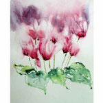 Alpenveilchen I (5) / Aquarell 30x40cm © janinaB.
