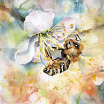 a bee I 2021 (31) 24x26cm / Watercolour by © janinaB. 