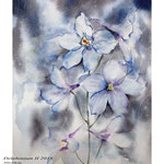 Delphinium II 2018 / 30x40cm (22) / Watercolour by ©janinaB.