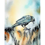 Raven I 2021 (O4) 20x30cm / Watercolour by © janinaB. 
