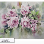 Roses V 2017 (21) / Watercolour 30x40cm on Arches CP © janinaB. 2017