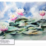 Waterlily II 2017 (14) / Watercolour 30x40cm on Arches CP © janinaB. 2017