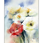 Poppies 25x16cm (O3)
