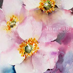 Anemones II 2020 (O3) / 20x30cm Watercolour by ©janinaB.