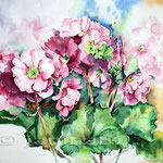 Schlüsselblumen (18) / Aquarell 30x40cm