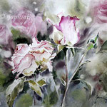 Roses IX 2020 (30) / 30x40cm Watercolour by ©janinaB. 