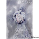 Balaeniceps (O4) / Watercolour 20x30cm © janinaB. 2020