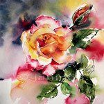 2. Rose (15) / Aquarell 24x30cm