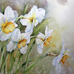 Daffodils I 2024 (T2) 30x40cm / Watercolour by ©janinaB.