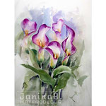 Zantedeschia I 2020 (28) / 30x40cm Watercolour by ©janinaB.