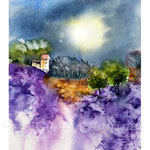 Provence I 2017 (O2) / Watercolour 20x30cm on Fabriano CP © janinaB. 2017