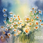 daisies II 2020 (30) / 30x40cm Watercolour by ©janinaB.