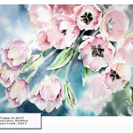 Tulips III 2017 (21) / Watercolour 30x40cm © janinaB. 2017