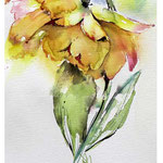 Impression flowers I 2017 (O1) / Watercolour 14x20cm on Fabriano CP © janinaB. 2017