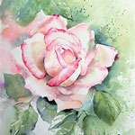 Rose I 2020 (30) / 30x40cm  Watercolour by ©janinaB.