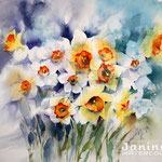 Daffodils III 2020 (28) / 30x40cm  Watercolour by ©janinaB.