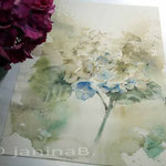 blaue Hortensie (9) / Watercolour 30x40cm