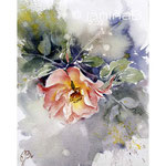 Rose I 2022 15x20cm / Watercolour by ©janinaB.