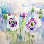 Poppies II 2020 (30) / 30x40cm  Watercolour by ©janinaB.