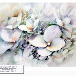 Hydrangea IX 2017_9 (10) / Watercolour 30x40cm on Arches CP © janinaB. 2017