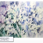 delphinium I 2017 (9) / Watercolour 30x40cm on Arches CP © janinaB. 2017
