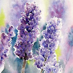 Lavendel (O3) / Aquarell 22x15cm