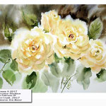 Roses II 2017 (O1) / Watercolour 20x30cm on Fabriano CP © janinaB. 2017