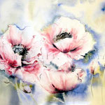 Pink Poppy (T2) / Watercolour 30x45cm
