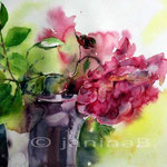 3. Rose (15) / Aquarell auf Arches satiniert 30x40cm