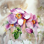Anemones IV 2020 (30) / 30x40 cm Watercolour by ©janinaB. 