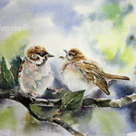 Sparrows I 2020 (31) / 30x40cm Watercolour © janinaB. 2020