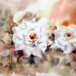 Roses VII 2020 (T1) / 36x48cm  Watercolour by ©janinaB.