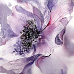 Anemone (O3) / Aquarell 22x15cm 