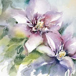 Clematis I 2021 (O1) 20x30cm / Watercolour by ©janinaB. 