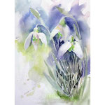 Snowdrops II 2021 (O3) 20x30 / Watercolour by ©janinaB. 