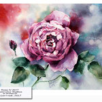 Rose IV 2017 (17) / Watercolour 30x40cm on Arches CP © janinaB. 2017