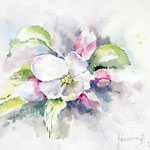 apple blossom II 2021 (O1) 18x24cm / Watercolour by ©janinaB. 