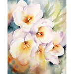 Crocuses I 2021 (O1) 20x30cm / Watercolour by ©janinaB. 