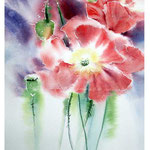 Poppies I 2017 (O1) / Watercolour 20x30cm on Fabriano CP © janinaB. 2017