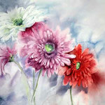 Gerberas I (14) / Aquarell 30x40cm © janinaB.