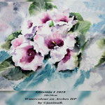 Gloxinia I 2018 (O1) / 20x30cm Watercolour on Arches HP by ©janinaB.