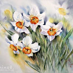 Daffodils IV 2020 (28) / 30x40cm  Watercolour by ©janinaB.