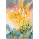 Snowdrops III 2021 (O3) 20x30 / Watercolour by ©janinaB. 