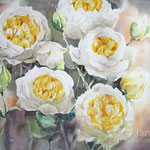 Roses II 2021 (30) 30x40 / Watercolour by ©janinaB. 