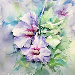 Hibiscus I 2020 (28) / 30x40cm Watercolour by ©janinaB.