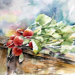 Radishes I 2021 (O4) 20x30cm / Watercolour by© janinaB. 