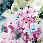 Hydrangea I 2020 (28) / 24x32cm Watercolour by ©janinaB.