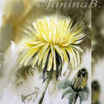 Dandelion V 2018 (O1) / 15x20cm / Watercolour by ©janinaB.
