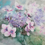Hydrangea II 2021 (32) 30x40cm / Watercolour by ©janinaB. 